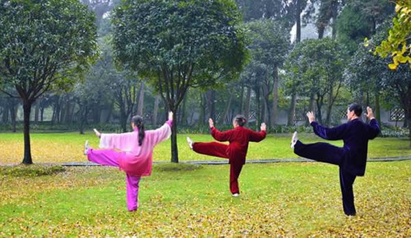 太极拳 易筋经