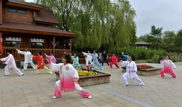太极拳 易筋经
