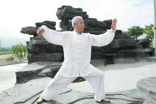 太极拳 易筋经