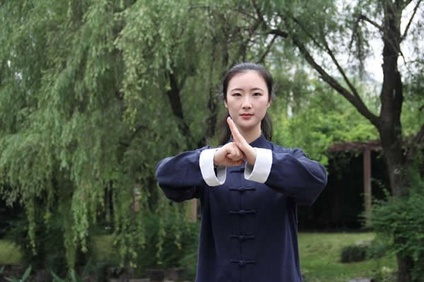 形意拳 易筋经
